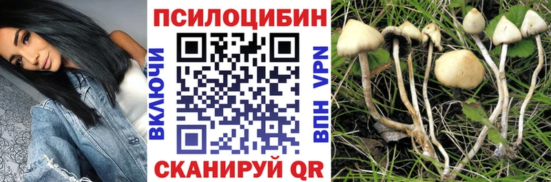 Галлюциногенные грибы MAGIC MUSHROOMS Анжеро-Судженск